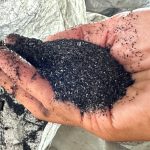 FB_IMG_1735523674874